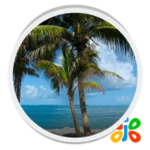 Logo of Beach Trees Live Wallpaper android Application 