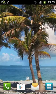 Beach Trees Live Wallpaper android App screenshot 0