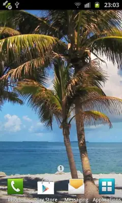 Beach Trees Live Wallpaper android App screenshot 1